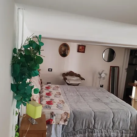 Piano Terra Casa Intera *